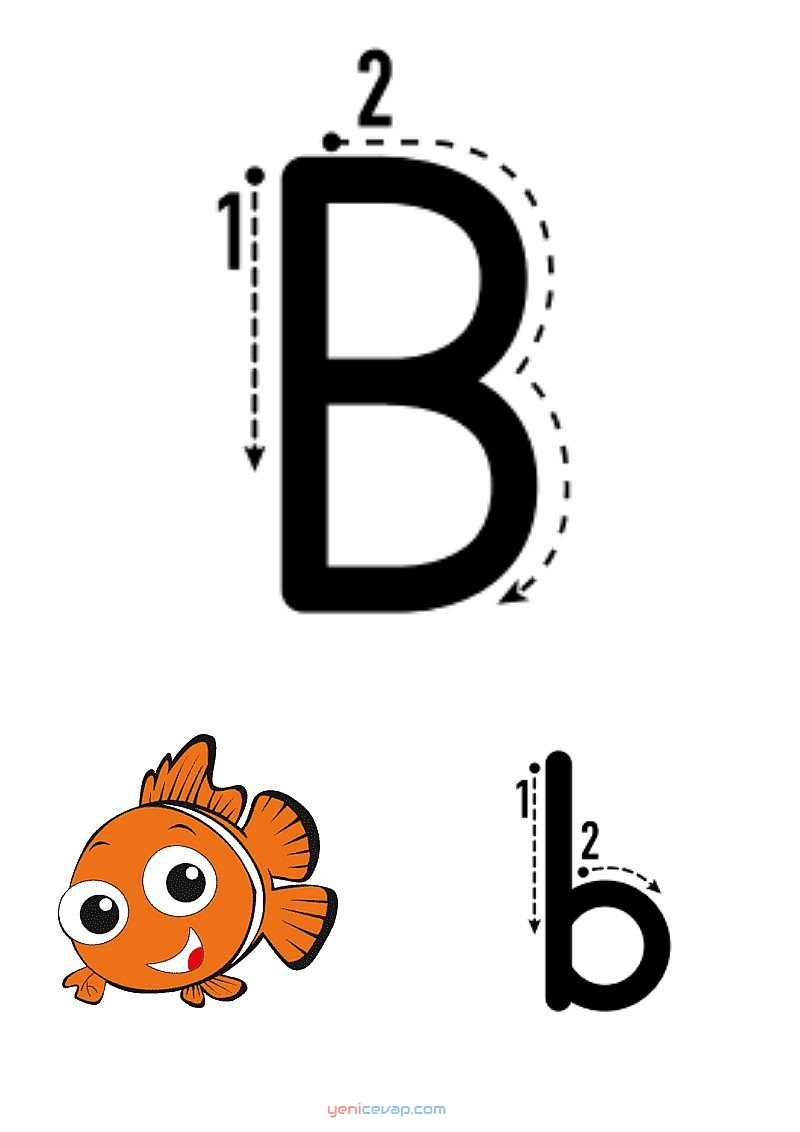 b harfi yazılışı