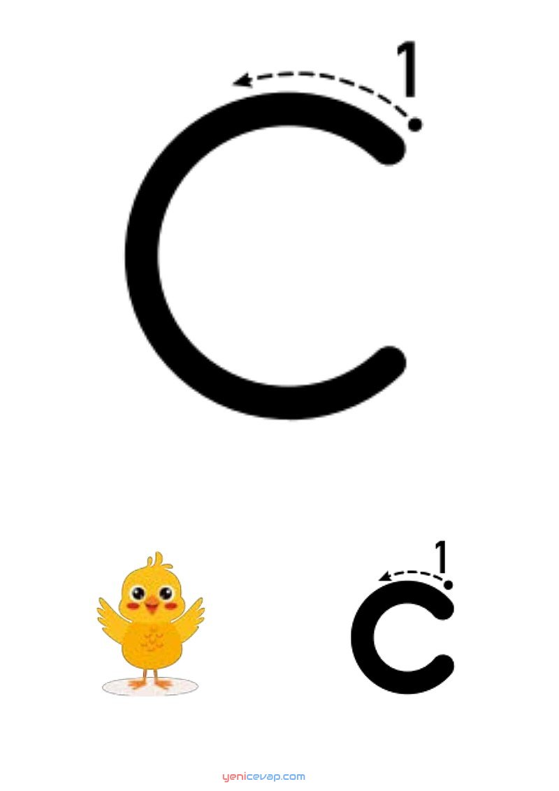 c harfi yazılışı