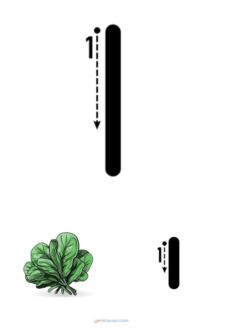 ı harfi yazılışı