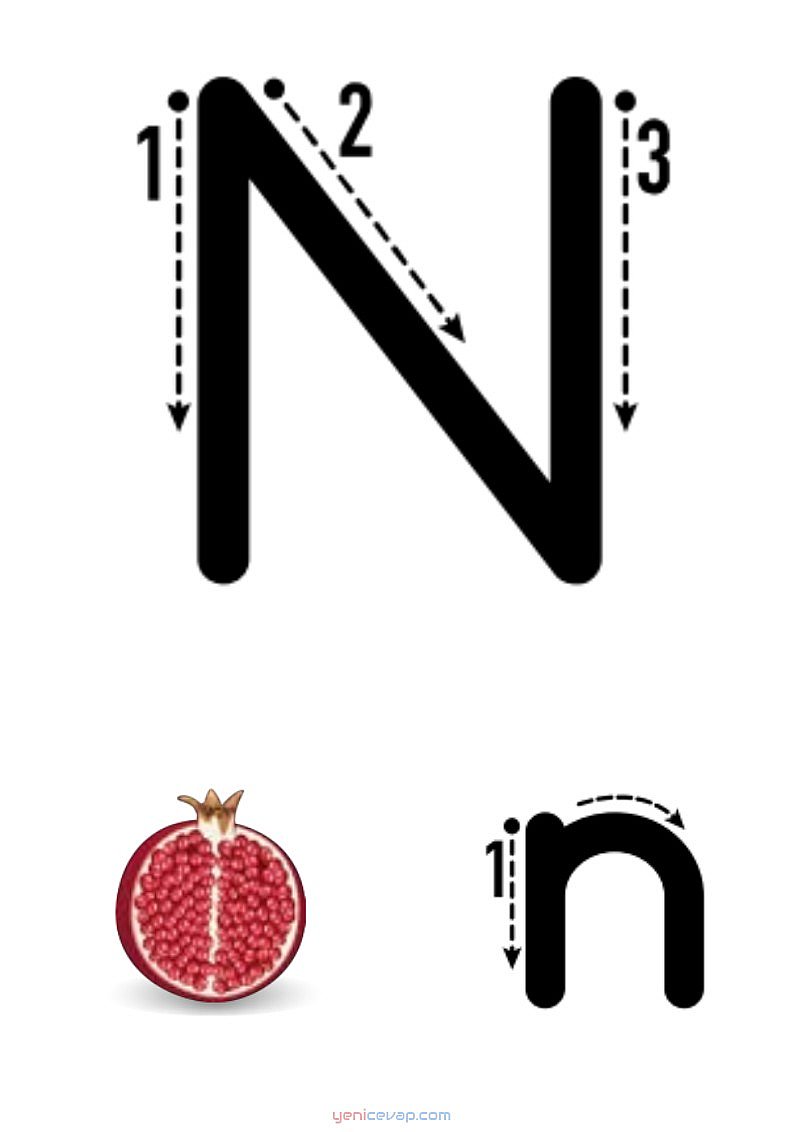 n harfi yazılışı