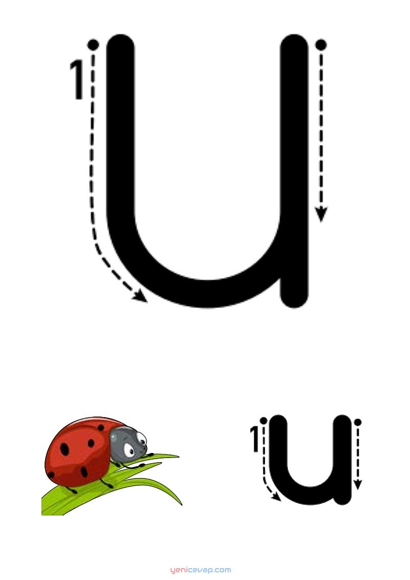 u harfi yazılışı