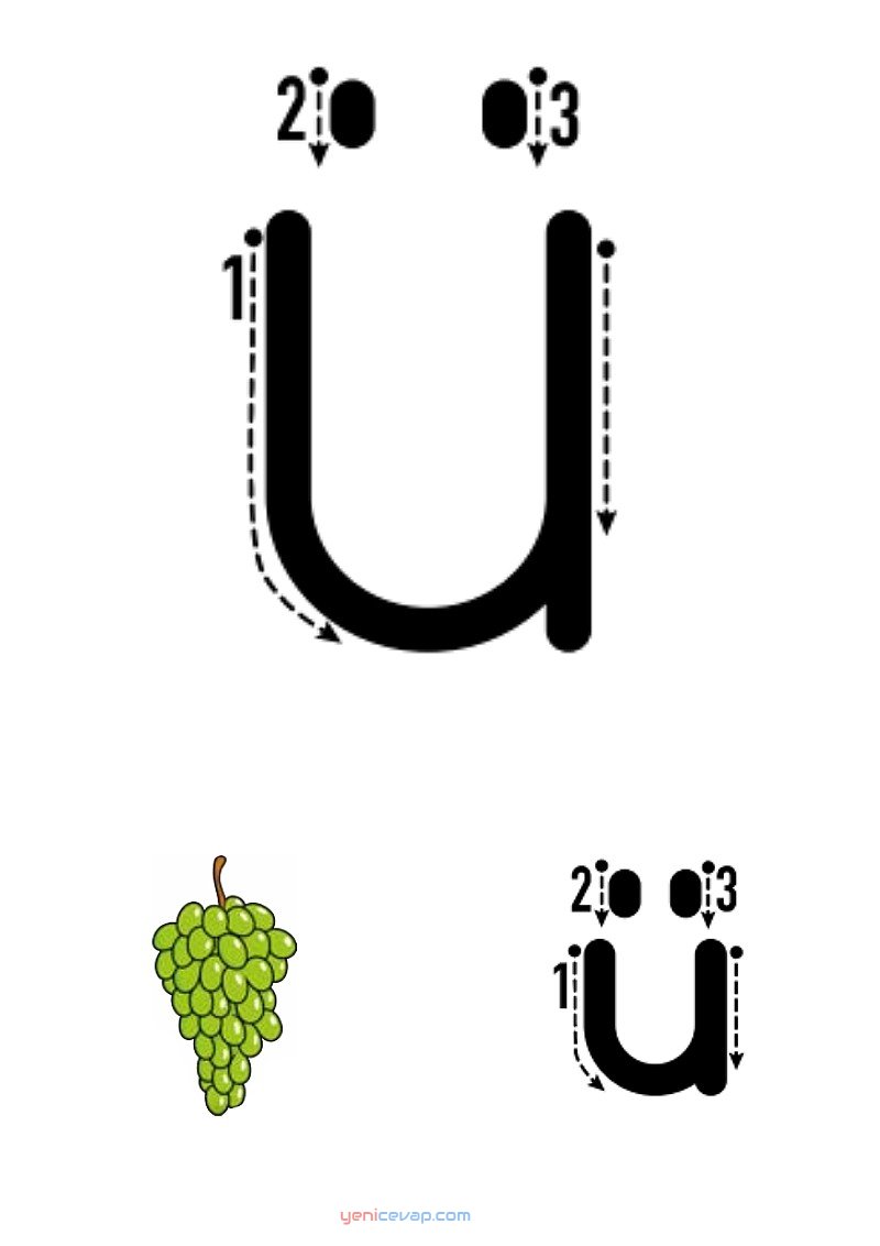 ü harfi yazılışı