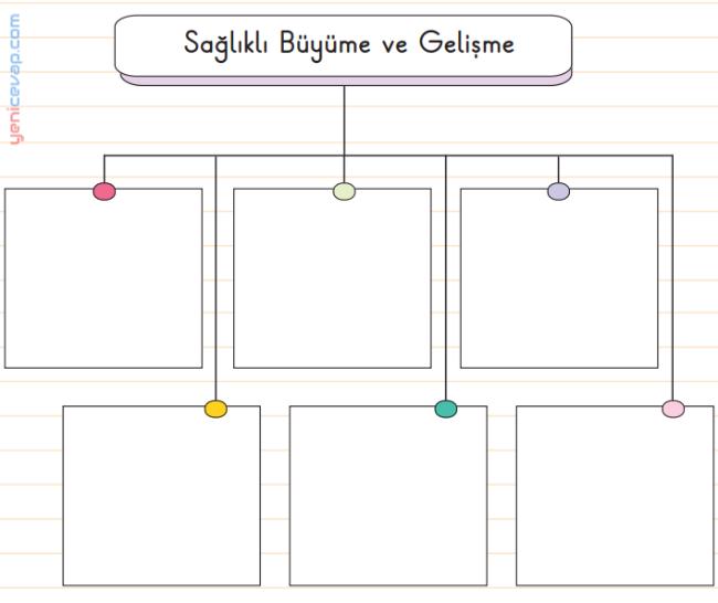 Büyüme ve Gelişme