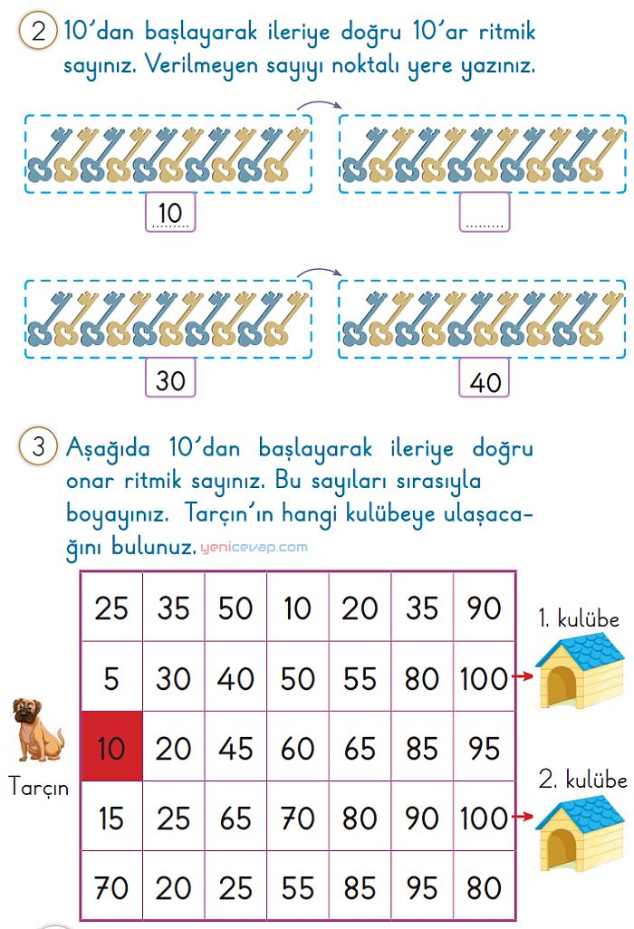 10 Katları Ritmik