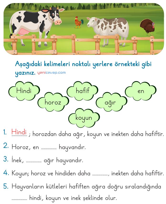 Ağırlık Kavramı