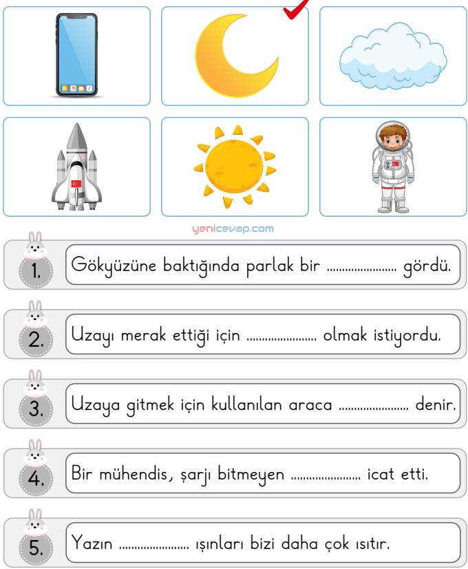 Seçelim Tamamlayalım