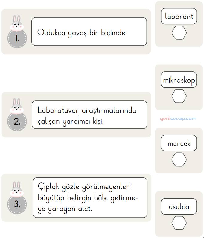 Bulalım Karar Verelim