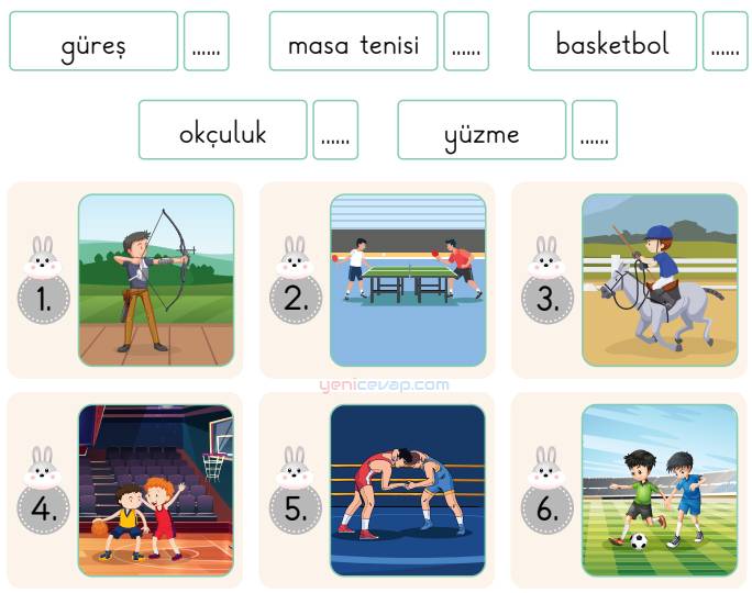 Spor Dalları