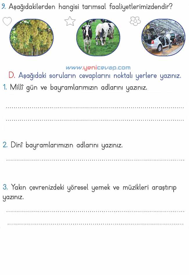 2. Sınıf Hayat Bilgisi Kitabı Sayfa 204 205 206 207 Cevapları Meb