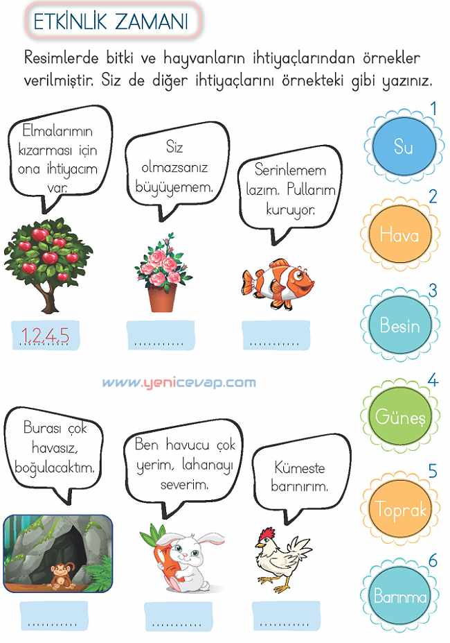 2. Sınıf Hayat Bilgisi Kitabı Sayfa 214 215 218 222 Cevapları Meb