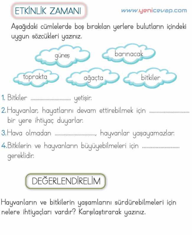 2. Sınıf Hayat Bilgisi Kitabı Sayfa 214 215 218 222 Cevapları Meb