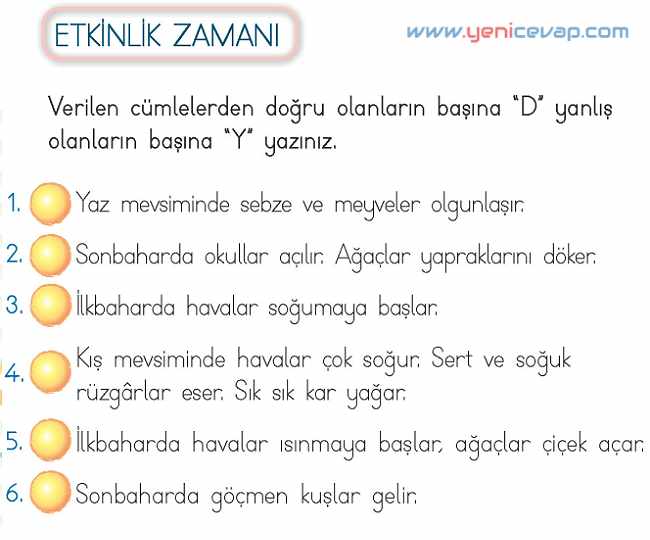 2. Sınıf Hayat Bilgisi Kitabı Sayfa 246 248 249 250 251 Cevapları Meb