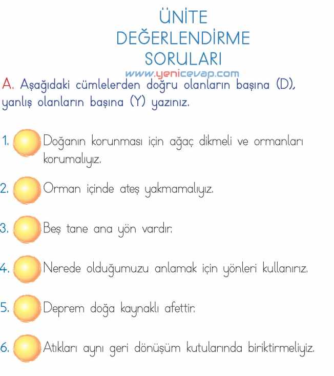 2. Sınıf Hayat Bilgisi Kitabı Sayfa 246 248 249 250 251 Cevapları Meb
