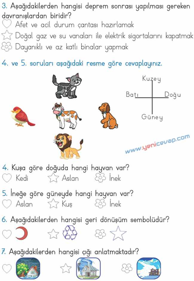 2. Sınıf Hayat Bilgisi Kitabı Sayfa 246 248 249 250 251 Cevapları Meb