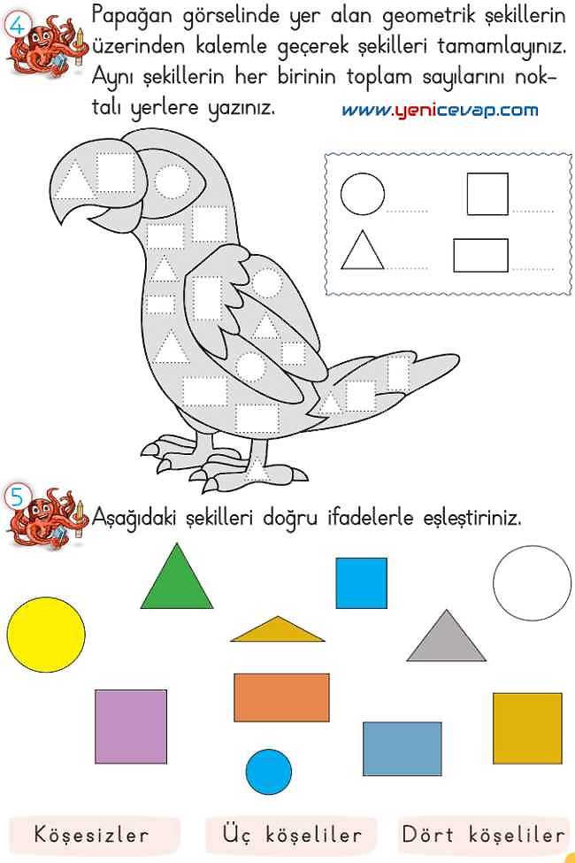 2. Sınıf Matematik Ders Kitabı Sayfa 137 141 143 144 Cevapları Meb