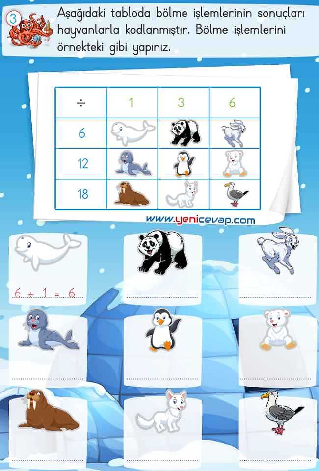 2. Sınıf Matematik Ders Kitabı Sayfa 203 204 205 206 Cevapları Meb
