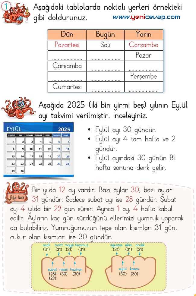 2. Sınıf Matematik Ders Kitabı Sayfa 229 230 231 233 Cevapları Meb