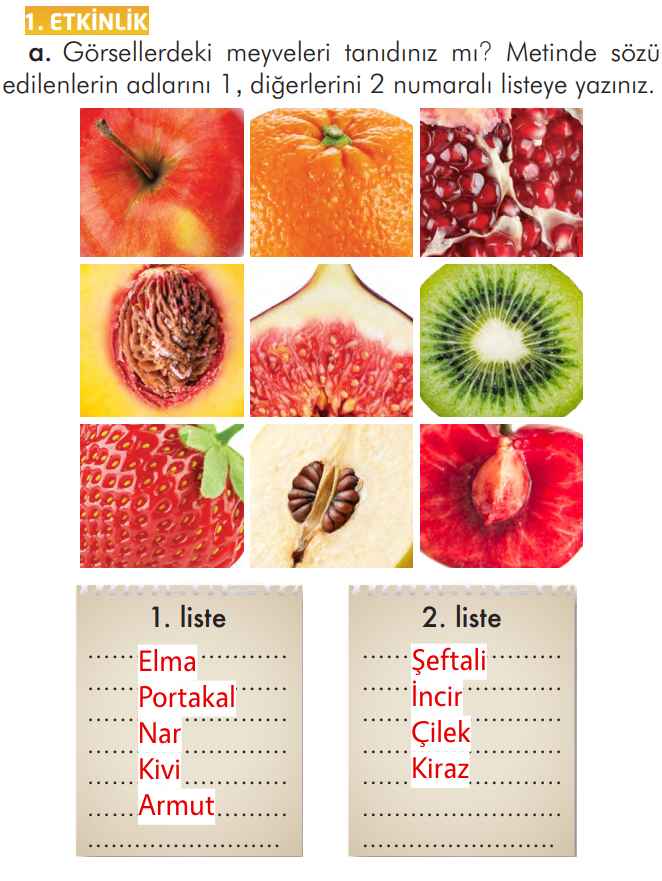 2. Sınıf Türkçe Kitabı Sayfa 97 101 102 103 Cevapları İlke Yayınları
