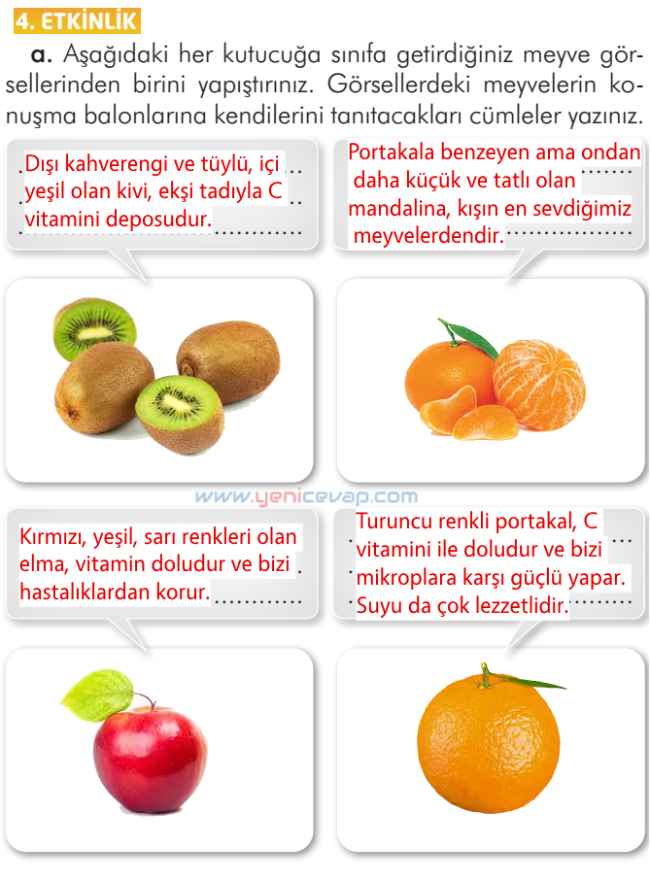 2. Sınıf Türkçe Kitabı Sayfa 97 101 102 103 Cevapları İlke Yayınları