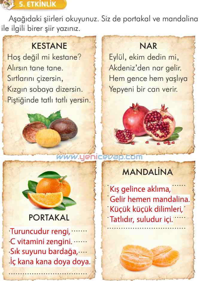 2. Sınıf Türkçe Kitabı Sayfa 104 105 106 107 Cevapları İlke Yayınları