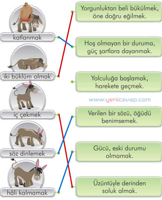 2. Sınıf Türkçe Kitabı Sayfa 130 131 132 134 135 Cevapları İlke Yayınları