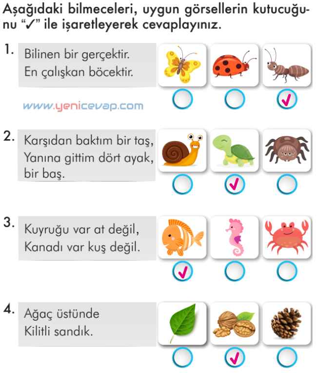 2. Sınıf Türkçe Kitabı Sayfa 271 272 276 277 Cevapları İlke Yayınları
