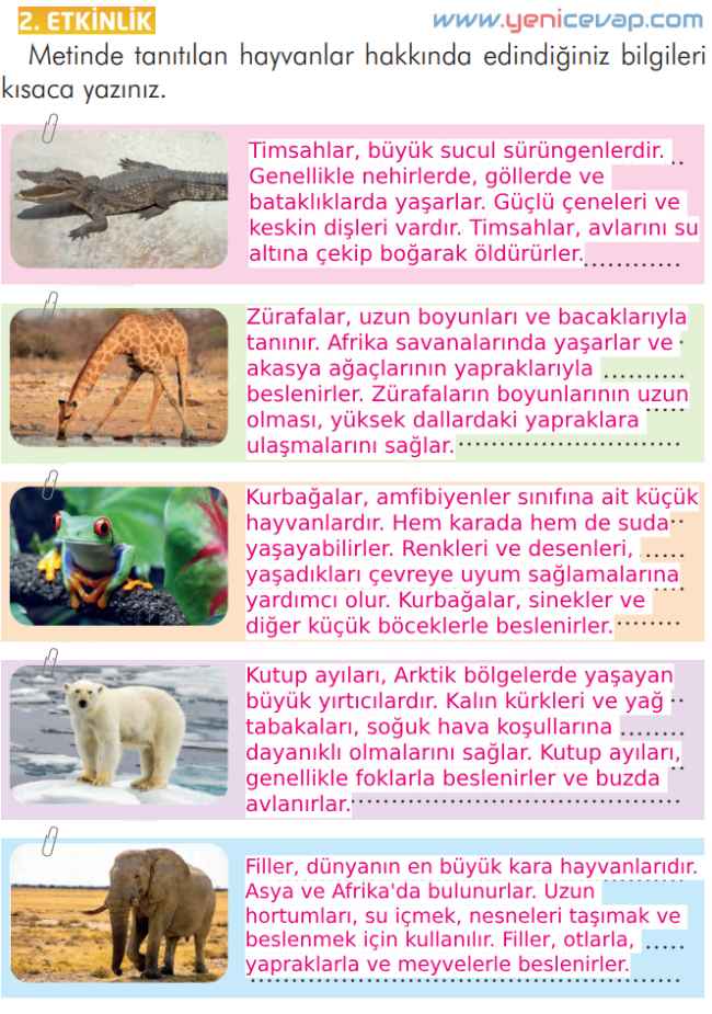 2. Sınıf Türkçe Kitabı Sayfa 271 272 276 277 Cevapları İlke Yayınları
