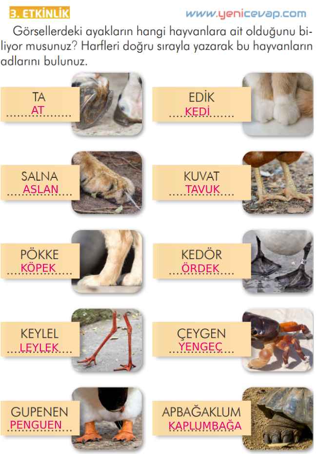 2. Sınıf Türkçe Kitabı Sayfa 278 281 282 288 Cevapları İlke Yayınları