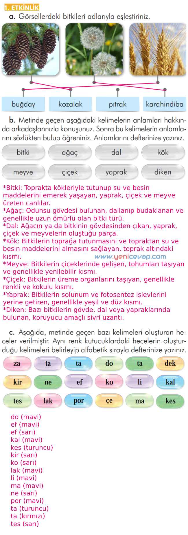 2. Sınıf Türkçe Kitabı Sayfa 289 290 291 296 Cevapları İlke Yayınları