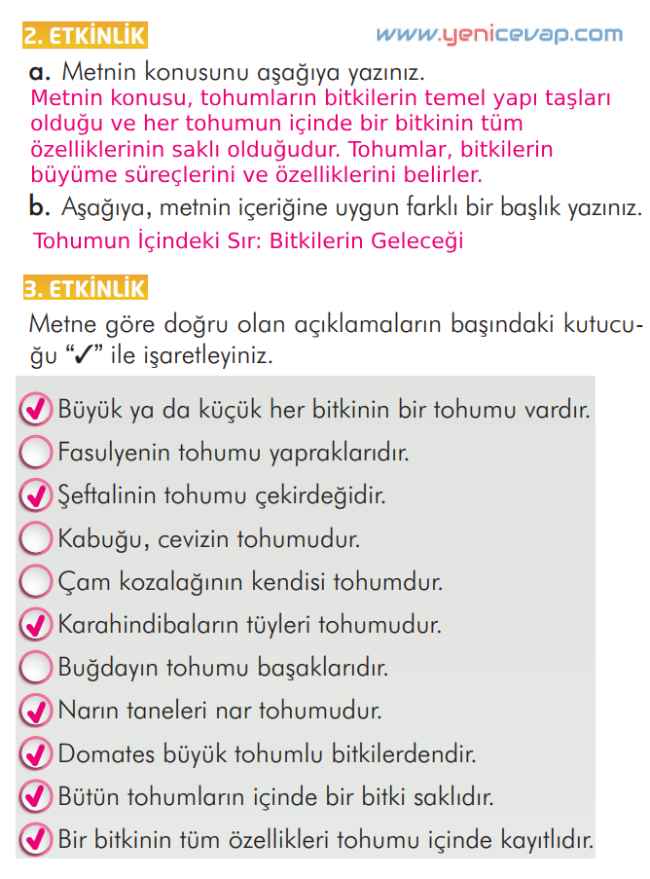 2. Sınıf Türkçe Kitabı Sayfa 297 299 300 302 Cevapları İlke Yayınları
