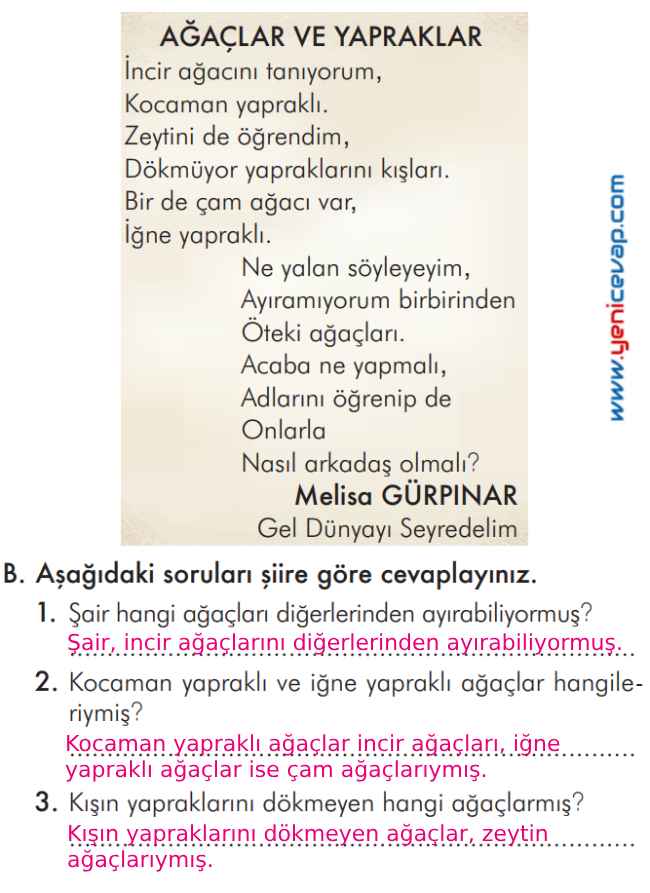 2. Sınıf Türkçe Kitabı Sayfa 303 307 308 309 Cevapları İlke Yayınları