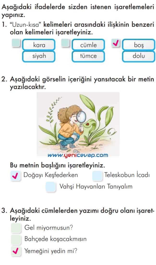 2. Sınıf Türkçe Kitabı Sayfa 303 307 308 309 Cevapları İlke Yayınları