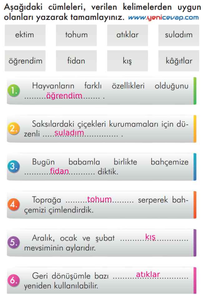 2. Sınıf Türkçe Kitabı Sayfa 310 311 312 Cevapları İlke Yayınları