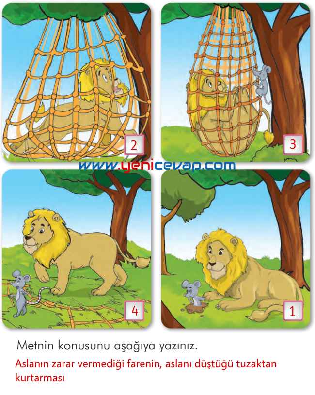 2. Sınıf Türkçe Kitabı Sayfa 29 32 33 35 Cevapları İlke Yayınları