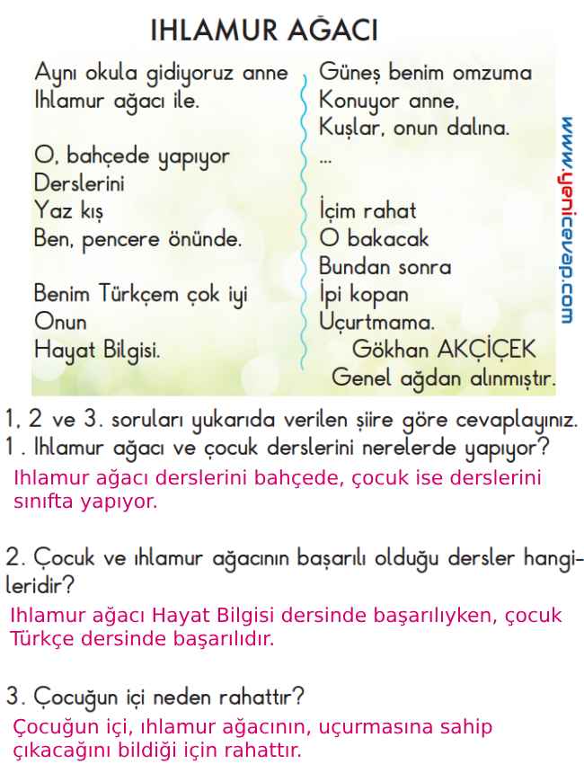 2. Sınıf Türkçe Kitabı Sayfa 128 129 130 134 Cevapları Meb