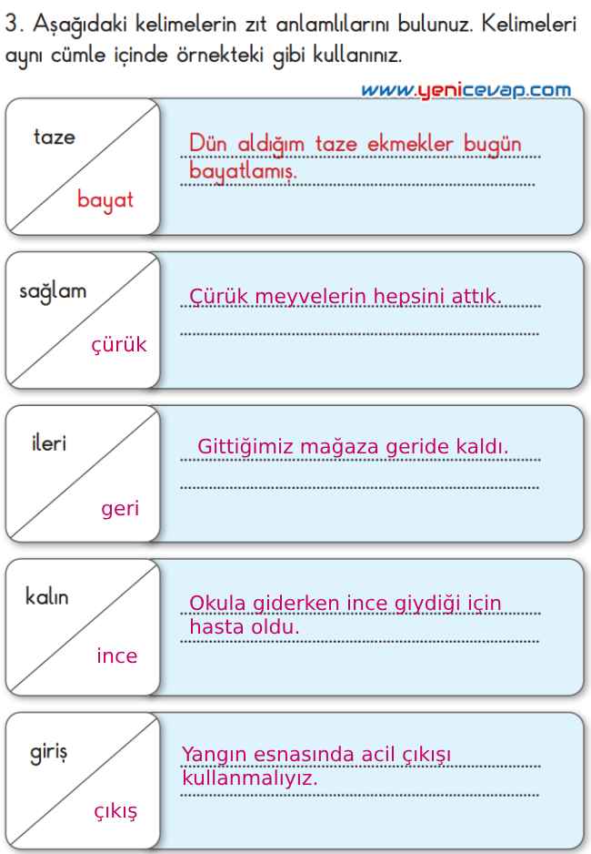 2. Sınıf Türkçe Kitabı Sayfa 239 240 241 Cevapları Meb