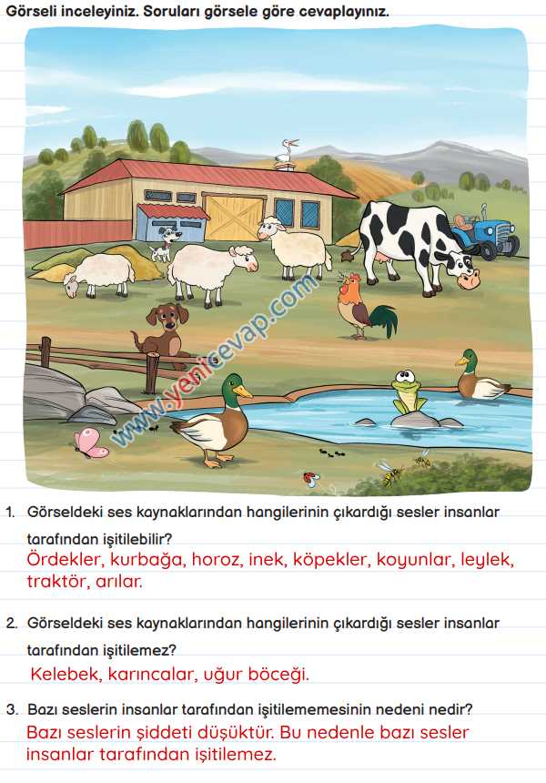 3. Sınıf Fen Bilimleri Kitabı Sayfa 141 142 144 145 147 Cevapları Meb
