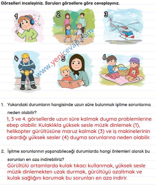 3. Sınıf Fen Bilimleri Kitabı Sayfa 141 142 144 145 147 Cevapları Meb