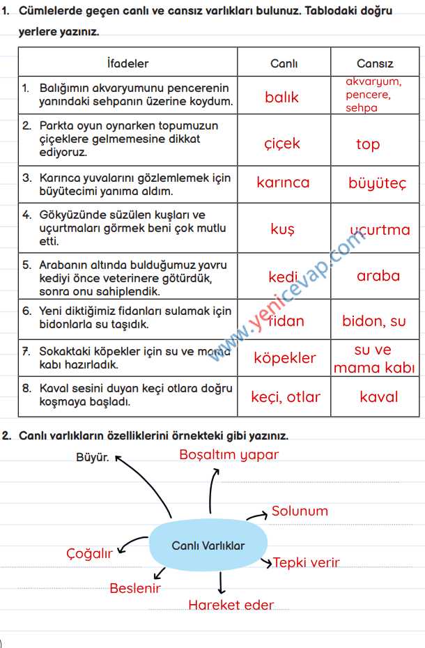 3. Sınıf Fen Bilimleri Kitabı Sayfa 152 153 156 160 Cevapları Meb