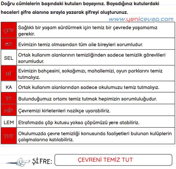 3. Sınıf Fen Bilimleri Kitabı Sayfa 169 170 172 173 Cevapları Meb