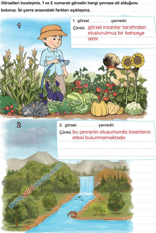 3. Sınıf Fen Bilimleri Kitabı Sayfa 174 175 176 178 181 Cevapları Meb