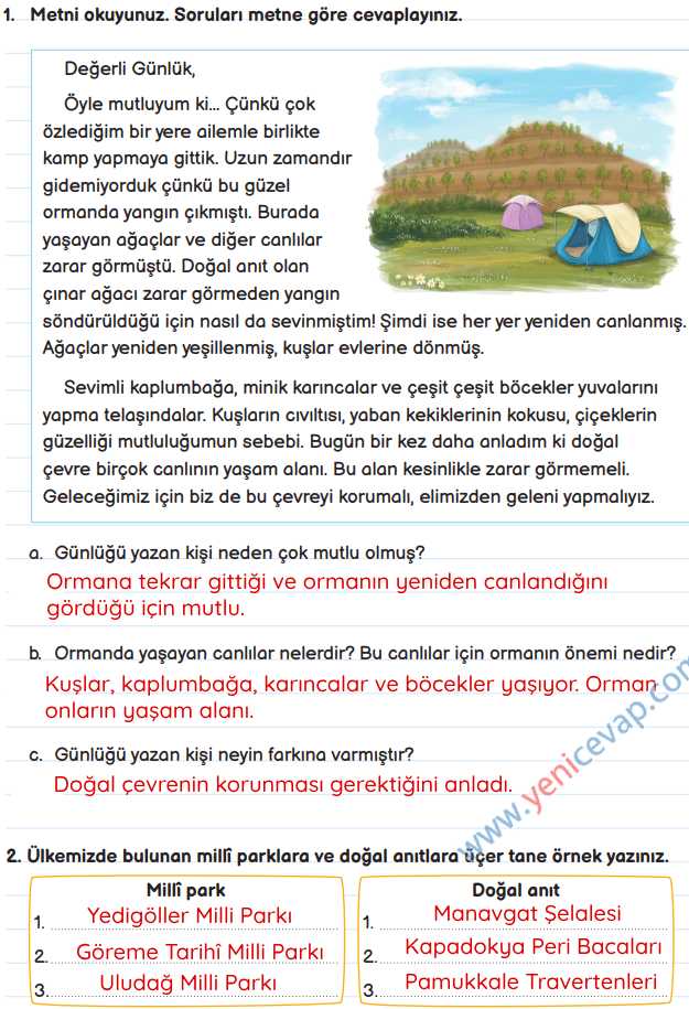 3. Sınıf Fen Bilimleri Kitabı Sayfa 174 175 176 178 181 Cevapları Meb