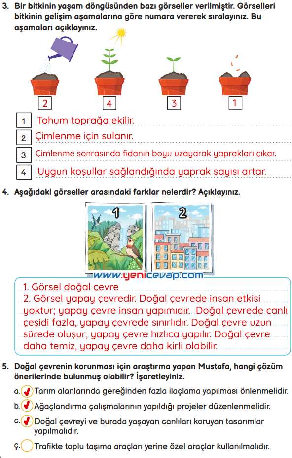 3. Sınıf Fen Bilimleri Kitabı Sayfa 184 185 186 187 Cevapları Meb