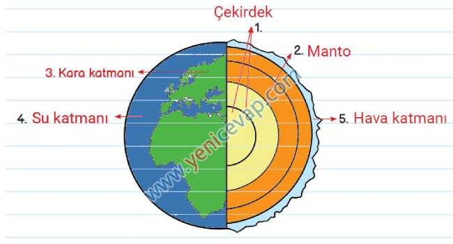 3. Sınıf Fen Bilimleri Kitabı Sayfa 21 24 25 27 Cevapları Meb