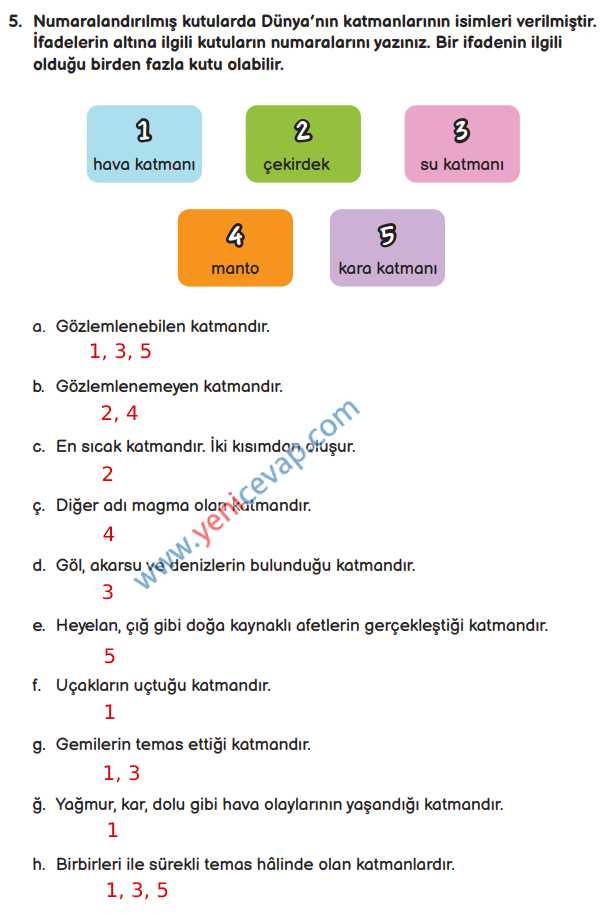 3. Sınıf Fen Bilimleri Kitabı Sayfa 36 38 39 40 Cevapları Meb