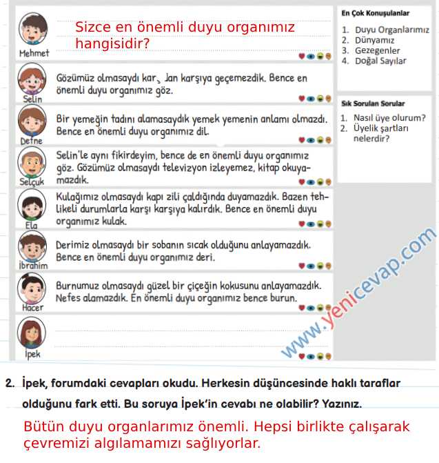 3. Sınıf Fen Bilimleri Kitabı Sayfa 41 44 45 47 48 Cevapları Meb