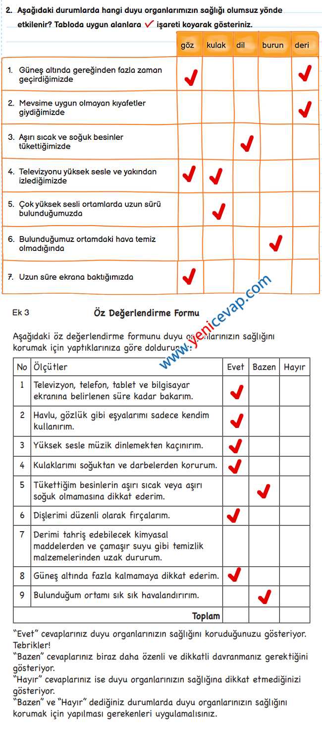 3. Sınıf Fen Bilimleri Kitabı Sayfa 57 59 60 61 Cevapları Meb