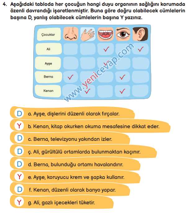 3. Sınıf Fen Bilimleri Kitabı Sayfa 62 63 66 67 Cevapları Meb