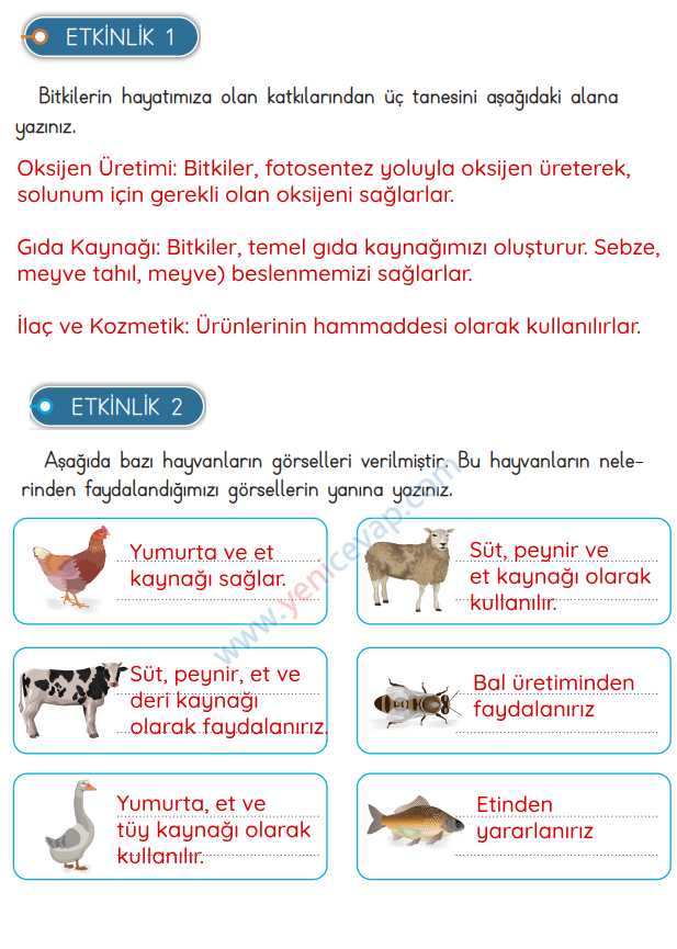 3. Sınıf Hayat Bilgisi Kitabı Sayfa 166 168 169 172 Cevapları Meb