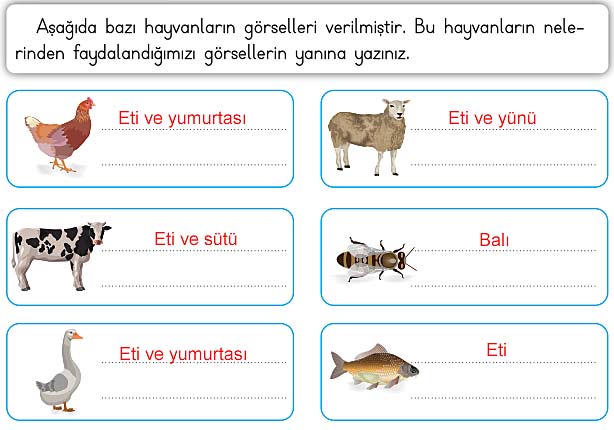 3. Sınıf Hayat Bilgisi Kitabı Sayfa 180 181 186 188 189 Cevapları Meb